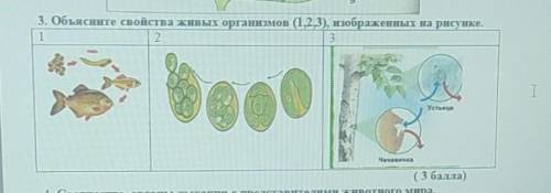 Какое свойство живых организмов изображено на рисунке