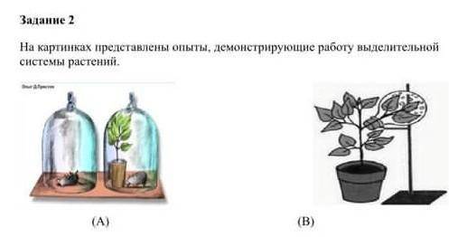 На рисунке представлены эксперименты