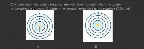 На рисунке показаны линии магнитного поля которое было создано проводником с током каким не может