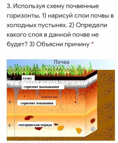 Сколько слоев грунта