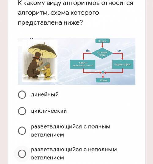 К какому виду алгоритмов можно отнести алгоритм схема