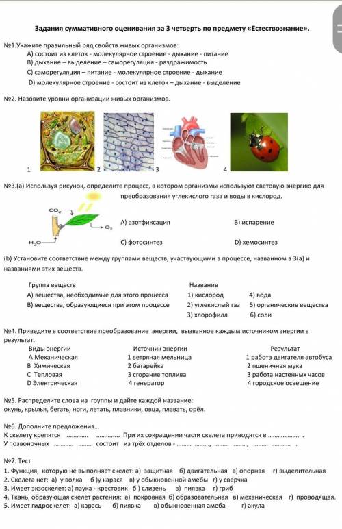 Суммативное оценивание 1 четверть. Свойства живых организмов дыхание питание выделение. Суммативное оценивание растения по биологии. Тестирование по теме здоровья по предмету Естествознание. Лабораторная работа смячом по придмету природовединя.