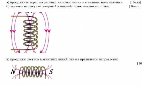 Укажите правильный вариант расположения линий магнитного поля