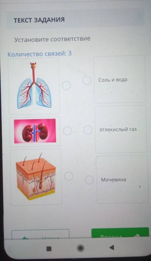 Установите соответствие соли. Соль вода углекислый ГАЗ.