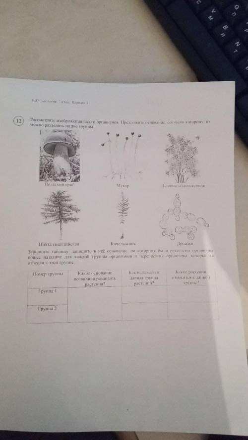 Рассмотрите изображения шести организмов предположите основание согласно которому их можно разделить