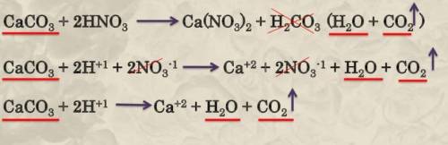 N no2 hno3 zn no3 2