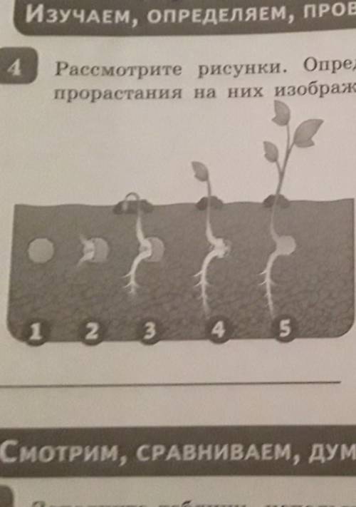 Определите по рисунку вид изоляции. Рассмотрите рисунок определите его тему что изображено на рисунке. 90. Рассмотрите рисунок изображающий подпишите. Рассмотрите рисунок определите в чем комичность ситуации. Рассмотрите иллюстрацию главы 7 и определите что изображено на них.