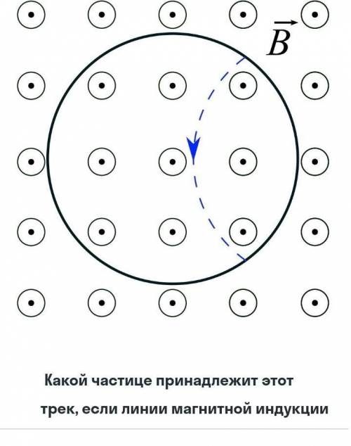 Трек в магнитном поле. При помощи камеры Вильсона помещенной в магнитное поле. Камера Вильсона в магнитном поле. Радиоактивность в магнитном поле. Направление магнитного поля в камере Вильсона.