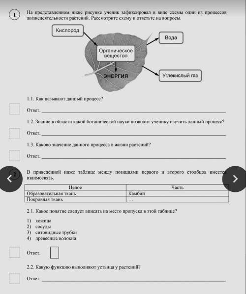 Ответы на впр по биологии 6 класс образец