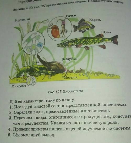 Изучите фрагмент экосистемы представленный на рисунке и выполните задания лев