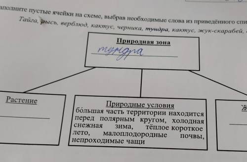 Заполните пустые ячейки на схеме выбрав необходимые слова и или