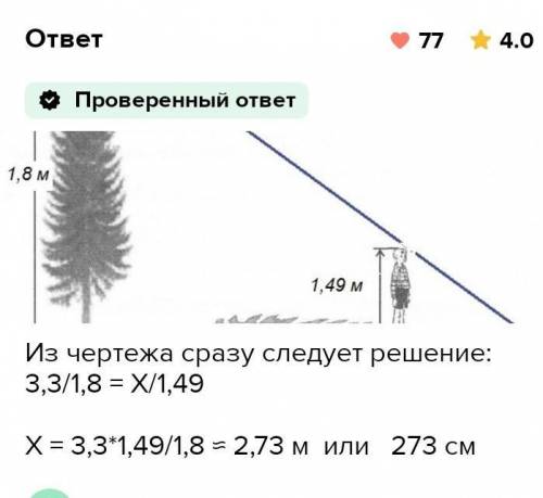 Длина тени дерева. Определить длину тени от дерева. Длина тени формула. Как определить Размеры ветровой тени от деревьев. Определите длину тени камыша.