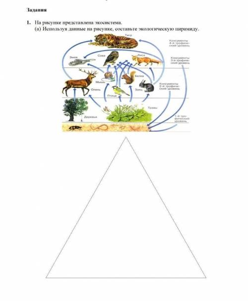 На рисунке представлена экосистема а используя данные на рисунке составьте экологическую пирамиду