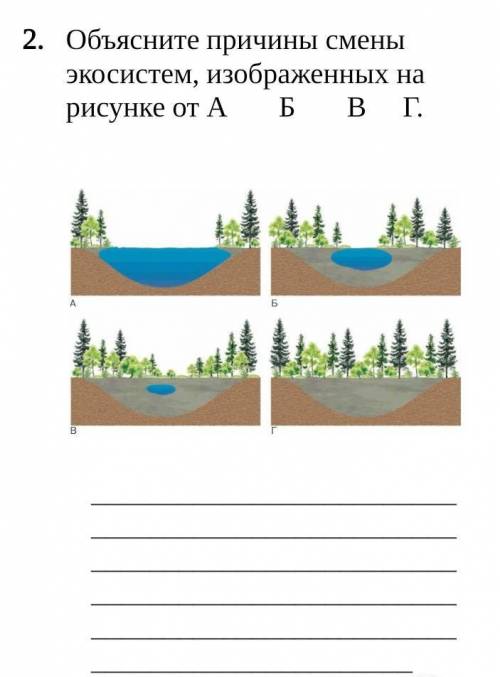 2 объясните причины смены экосистем изображенных на рисунке от а б в г 2