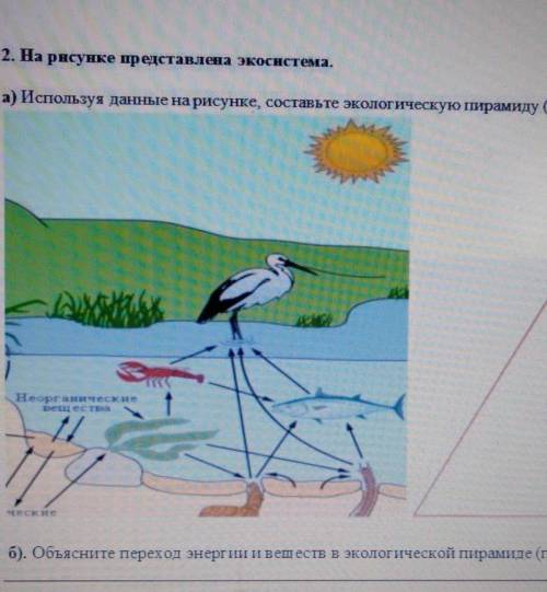 Используя информацию представленную на рисунке