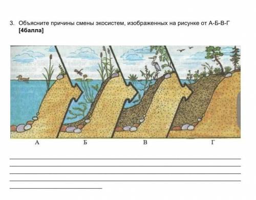 Объясните причины смены экосистем изображенных на рисунке от а б в г