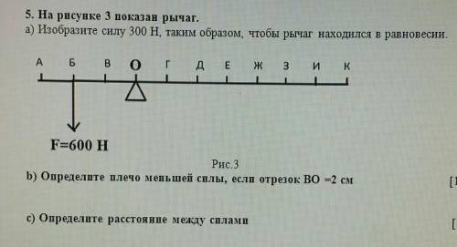 На рисунке изображен рычаг находящийся в равновесии во сколько раз отличаются силы