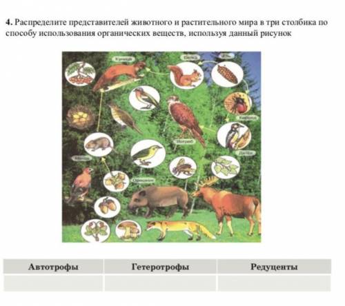 Распределите представителей. 75% Представителей животного и растительного мира -. Труд представителей животного мира. 6 Рисунков представителей животного и растительного мира. Распределите представителей животного мира в окнах таблицы.