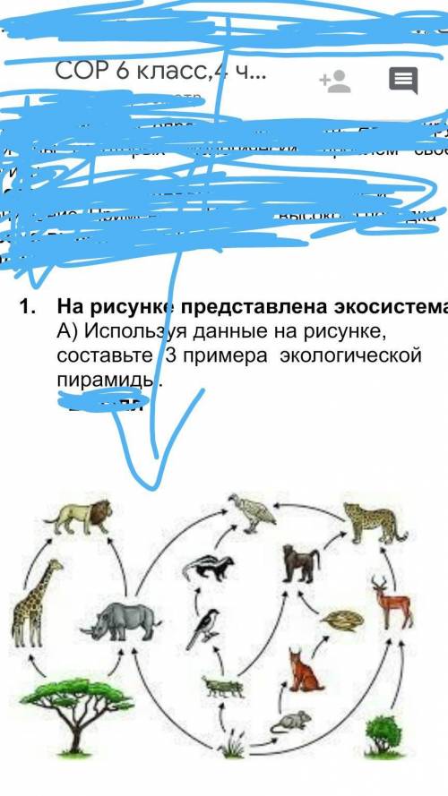 Изучите фрагмент экосистемы водоема представленный на рисунке и выполните задания