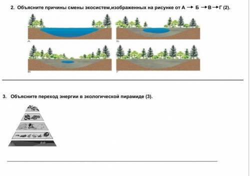 2 объясните причины смены экосистем изображенных на рисунке от а б в г 2