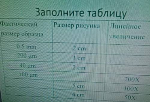 Заполните таблицу п 15. Заполнить таблицу комплексов. Заполните таблицу естественно математические науки. Заполните таблицу (табл. 5).. 415 Заполните таблицу.