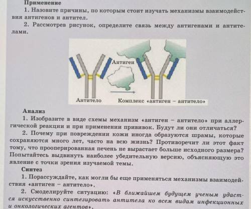 Изучите механизмы. Механизм взаимодействия антигена с антителом. Механизм взаимодействия антиген-антитело (2 фазы). Химическая связь между антигеном и антителом. Две стратегии отбора наиболее аффинных антител рисунок.