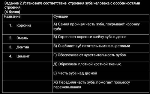 Установите соответствие строения. Установите соответствие зубной системы. Установите соответствие структурой зуба и его характеристикой. Название функции м 16 часы.