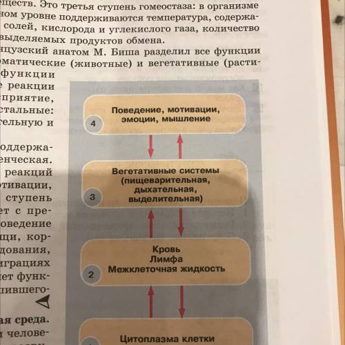 Прочитайте текст параграфа составьте план ответа на вопрос что лежит в основе роста организмов ответ