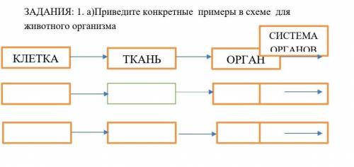 Покажите на конкретных примерах. Нарисуйте схему показывающую путь пищи в организме животных. Приведите примеры конкретных задач.