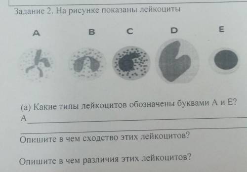 Показан на рисунке 5 1. Чем сходство и различные тела изображённых в рисунке 3,4. Какой Тип звездочки изображен на рисунке. Сравните два вируса изображённых на рисунках отметьте черты сходства. Какие состояния показаны на рисунках а и б медицина.