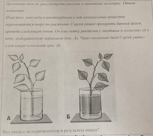 Рассмотрите рисунки 1 2 с изображением процессов жизнедеятельности растения как называют процесс