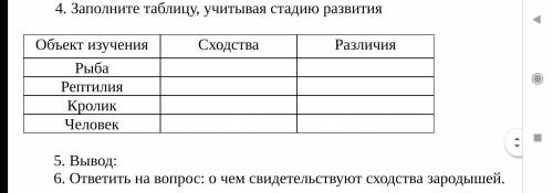 Выявить черты сходства. Вывод к таблице. Таблица 1 - черты сходства зародышей человека и других позвоночных. Таблица по биологии 7 выявите черты сходства. Сходство и различия зародышей рыбы и человека таблица.