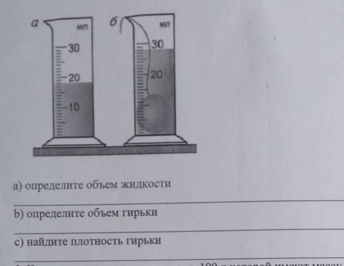 Найдите массу стальной гирьки показанной на рисунке