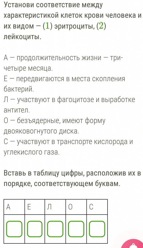 Установите соответствие между характеристиками и типами клеток