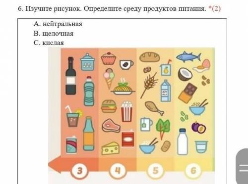 Изучите рисунки представленные ниже. Otlkxygz среда продуктов.