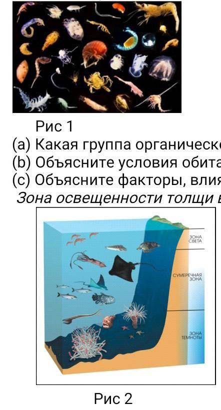 Закономерности в океане. 2.Наибольшие глубины характерны для океана:. Мировые водные.