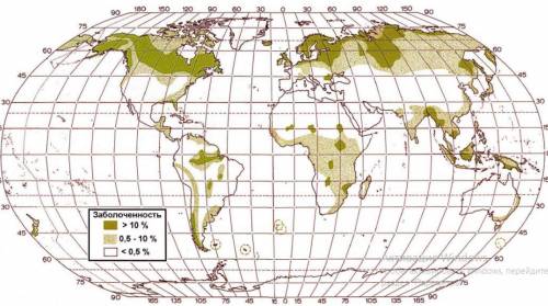 География 29. Заболоченные территории на карте мира. Наиболее Заболоченные территории мира на карте. Распространение болот на карте мира. Заболоченные места на карте мира.