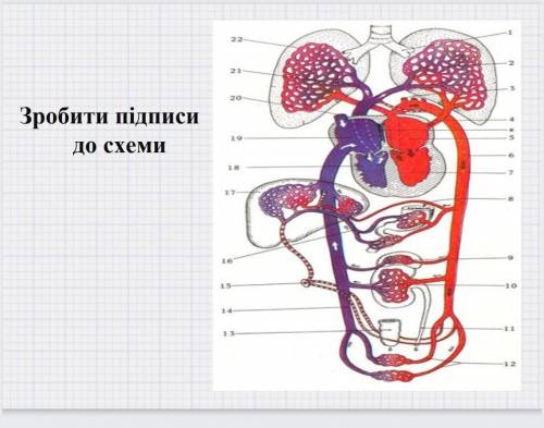 Биология 23 год