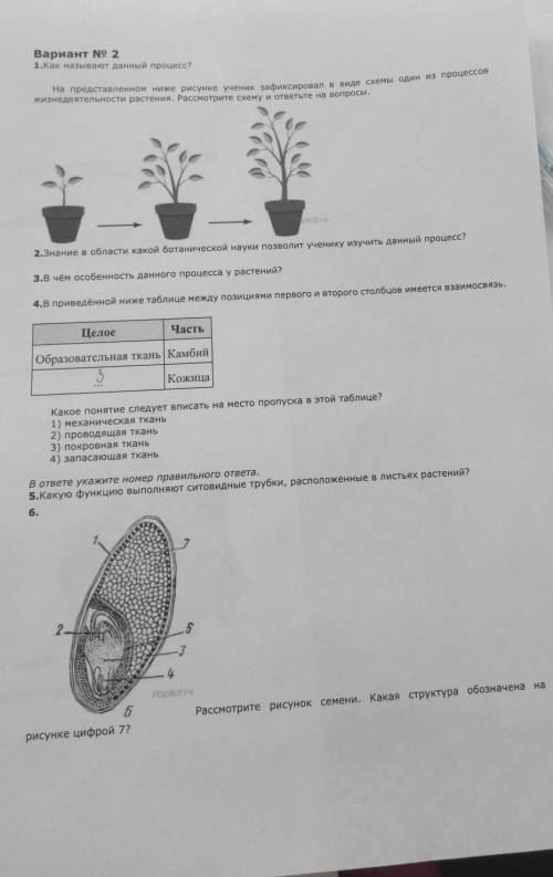 Впр биология 6 класс образец с ответами