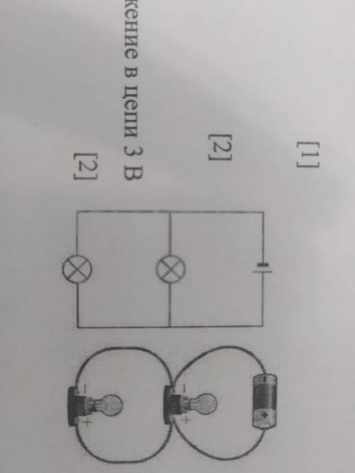 На рисунке изображена электрическая цепь состоящая из трех ламп л1 л2 и л3 и источника