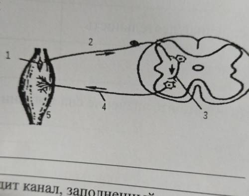 Рассмотрите рисунок опишите его